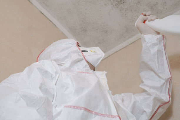 Best Office Mold Removal Services  in Lookout Mountain, TN